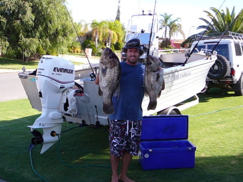 HAPPY DAYZ HAPPY DAYZ